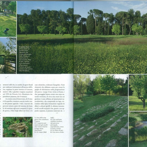 gardenia parco miralfiore 3-4
