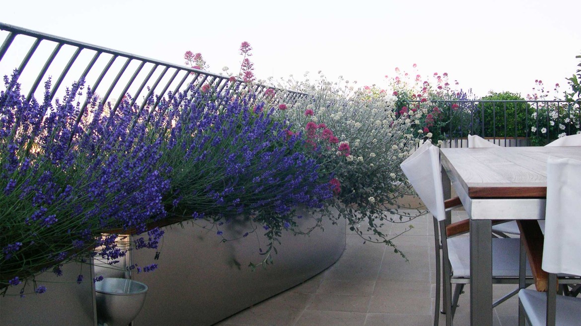 Terrazzo cittadino Lanedsign