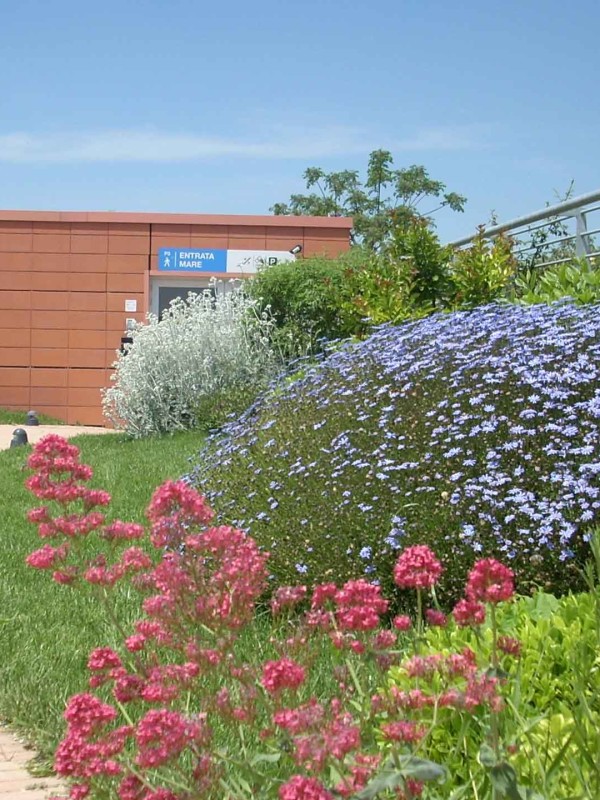 A ROOF GARDEN ON A PARKING STRUCTURE